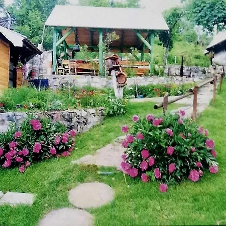 Kod Sestre I Brata - Kudra